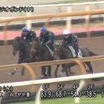 【京都新聞杯2024】追い切り/動きからレースを紐解く