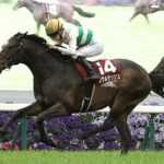 【競馬予想】[4]第74回安田記念(GⅠ) /2024