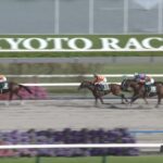 【平安ステークス2024】出走予定馬・騎手/帝王への道