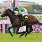 【競馬予想】[5]第85回オークス(GⅠ) /2024