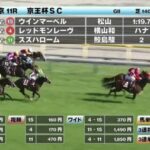 サトノダイヤモンド希望の星スズハローム