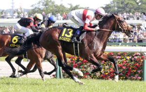 【日本ダービー】シュガークンとダノンエアズロックの取捨選択