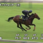 【安田記念2024】追い切り/抜群の動きを見せたのは
