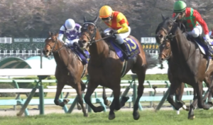 ジャスティンミラノ三木オーナー、今後の海外挑戦には消極的「国内でいいかなと思います」