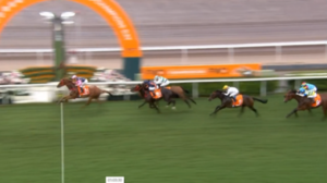 【チャンピオンズマイル】ゴールデンシックスティ単勝人気１.３倍