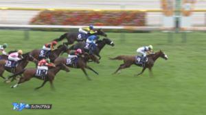 ヴィクトリアマイルの戦犯は？