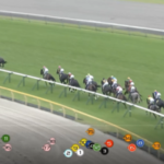 【オークス】大逃げした11番と16番は何がしたかったんだ?