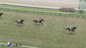 【日曜新潟4R】坂口智康騎手の初勝利ｷﾀ━━━━(ﾟ∀ﾟ)━━━━!!