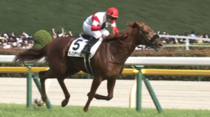 吉田代表「ダノンデサイルの能力がずぬけているのは分かっていました」