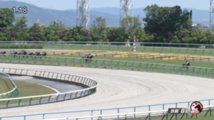 【土曜京都8R】大逃げ馬アリスヴェリテｗｙｗｙｗｙｗｙｗｙｗｙ