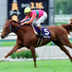 最強馬とは(いつ何時誰の挑戦でも受ける)