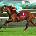 歴代の無敗の皐月賞馬(皐月単冠)の中だと誰が最強馬なの?