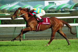 歴代の無敗の皐月賞馬(皐月単冠)の中だと誰が最強馬なの?