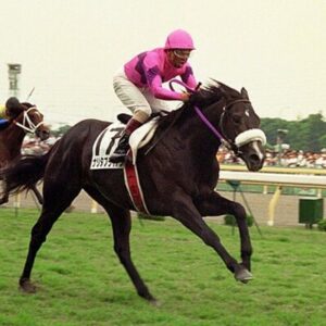 競馬懐かし王選手権