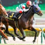 そういや、そんな馬いたなって言う馬挙げてけ
