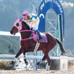ハルウララブームから20年、ついに高知競馬が地方競馬の頂点に立った