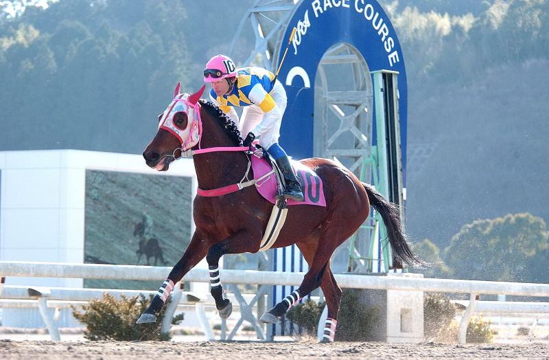 ハルウララブームから20年、ついに高知競馬が地方競馬の頂点に立った