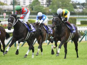 現役最強とか古馬の王者といった馬が軒並み春天に出なくなった理由は何なの?