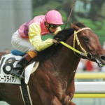 適正外なのに強すぎて府中2400勝った馬といえば