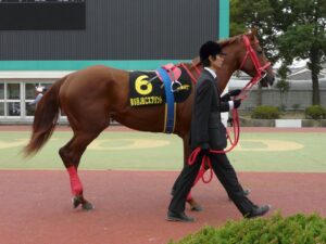 ダート最強馬と言えば