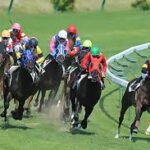 競馬懐かし大辞典