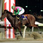 東京ダービー売上 26億1759万2600円(前年比232.3%) 大井大勝利!