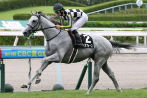 ガイアフォース2年連続4着