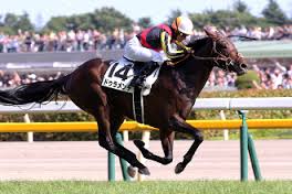 日本近代競馬の結晶だと思う血統の馬