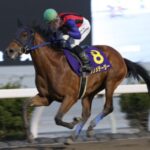 ハルウララブームから20年、ついに高知競馬が地方競馬の頂点に立った