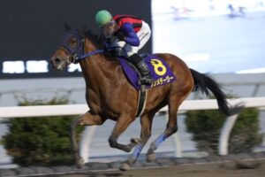 ハルウララブームから20年、ついに高知競馬が地方競馬の頂点に立った