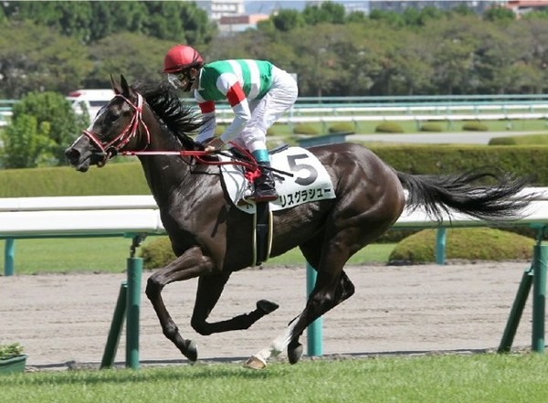 ピーク時の強さで最強馬と言えば