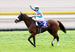 東京2400で最強の馬は?