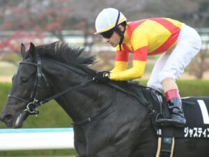 正直ジャスティンパレスが過大評価と思ってる奴