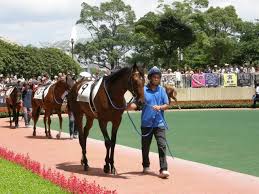 もうすぐ競馬が終わる