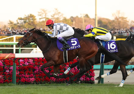 【宝塚記念】ドウデュース 意外にも京都競馬初出走な件