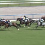 【鳴尾記念2024】結果・動画/ヨーホーレイクが接戦を制し復活V
