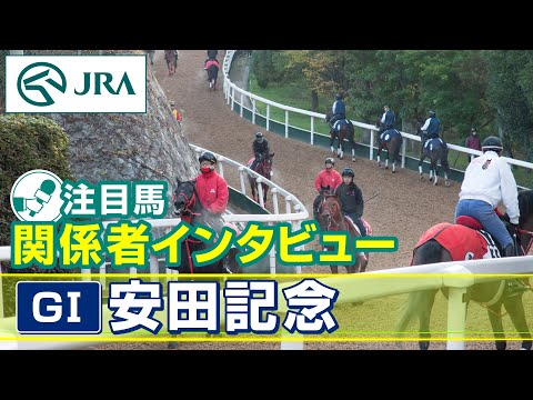 【注目馬 関係者インタビュー】2024年 安田記念｜JRA公式