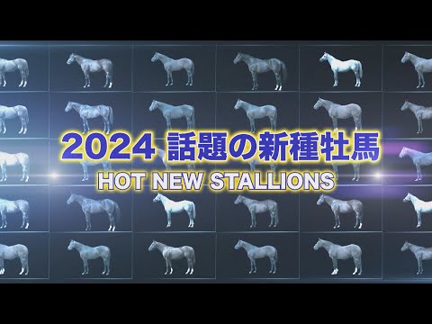 2024年新種牡馬紹介　～日本調教馬編～ | JRA公式