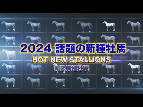 2024年新種牡馬紹介　～輸入馬編～ | JRA公式
