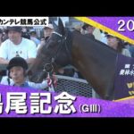 2024年 鳴尾記念(GⅢ) ヨーホーレイク 実況:岡安譲【カンテレ公式】