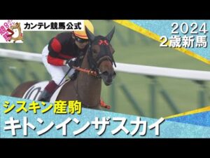 新種牡馬シスキン産駒がいきなり初出走V！キトンインザスカイ　2024年 6月2日(日)２歳新馬　京都芝1400m　実況：岡安譲【カンテレ公式】