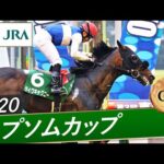 2020年 エプソムカップ(GⅢ) | ダイワキャグニー | JRA公式