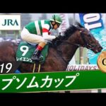 2019年 エプソムカップ(GⅢ) | レイエンダ | JRA公式
