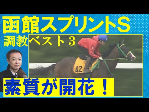 【北海道シリーズ開幕！】「ＧⅠも視野に…！充実してる」アサカラキング・サトノレーヴ・キミワクイーン・・・競馬エイト・高橋賢司トラックマンの調教解説＜函館記念(ＧⅢ)＞