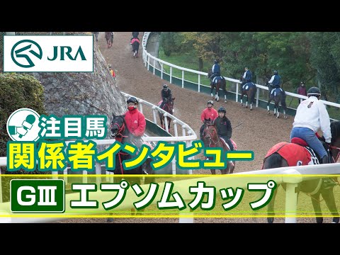 【注目馬 関係者インタビュー】2024年 エプソムカップ｜JRA公式