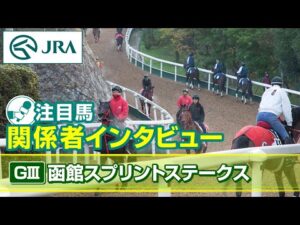 【注目馬 関係者インタビュー】2024年 函館スプリントステークス|JRA公式