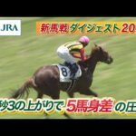 【新馬戦ダイジェスト】コートアリシアン・クロワデュノール ほか | 6月8日~6月9日(東京・京都・函館) | JRA公式
