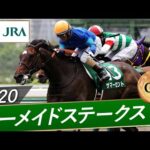 2020年 マーメイドステークス(GⅢ) | サマーセント | JRA公式