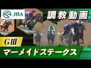 【調教動画】2024年 マーメイドステークス｜JRA公式