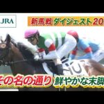 【新馬戦ダイジェスト】トータルクラリティ・プリティディーヴァ ほか | 6月15日~6月16日(東京・京都・函館) | JRA公式